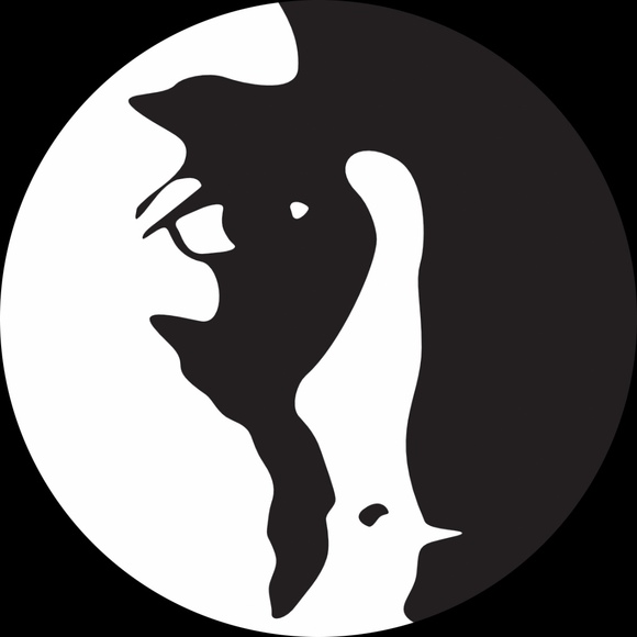 skinwalkersav